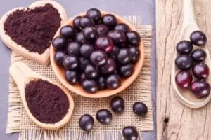 Acai Superalimento Funcional Y Sostenible