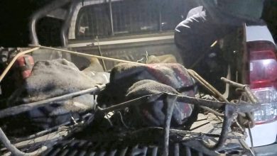 Volcadura De Bus Deja Fallecidos En Cusco