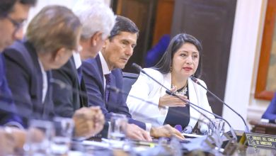 Presidenta Del Consejos De Ministros