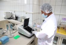 Crean Banco Genetico