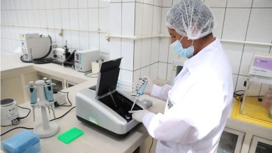 Crean Banco Genetico