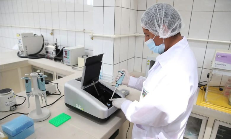 Crean Banco Genetico