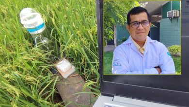 Investigador