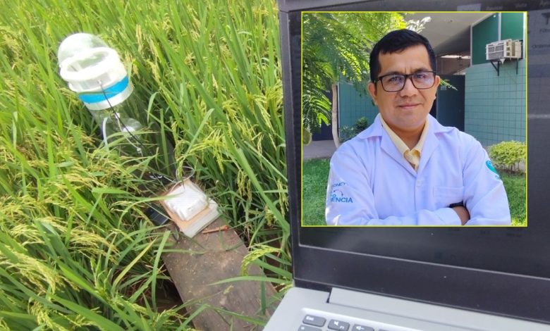 Investigador