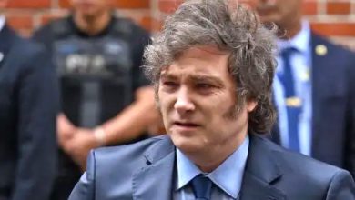 Javier Milei Presidente De Argentina