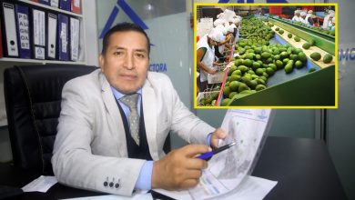 Percy Rojas
