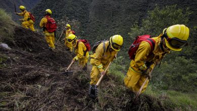 Combatientes Forestales Del Sernanp