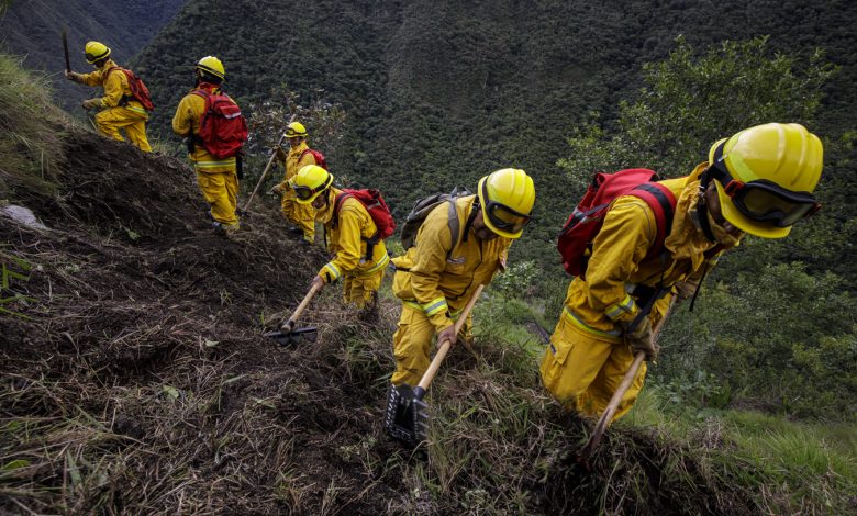Combatientes Forestales Del Sernanp